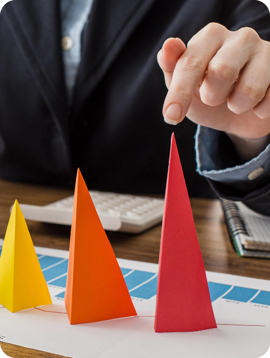 Risk Advisory Services