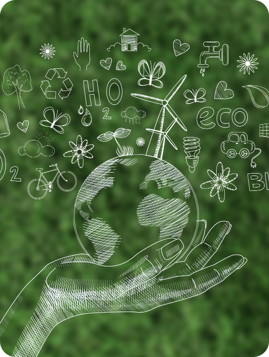 Sustainability Advisory & ESG Services